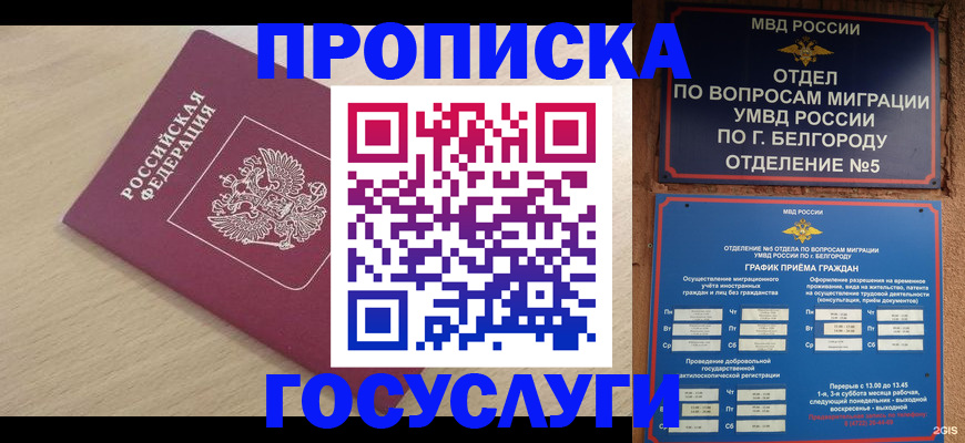 прописка законно в Бокситогорске